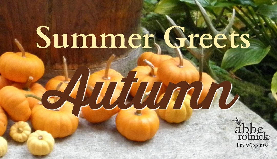 Summer Greets Autumn