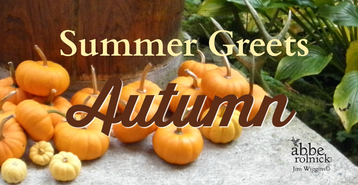 Abbe's Notes: Summer Greet's Autumn by Abbe Rolnick