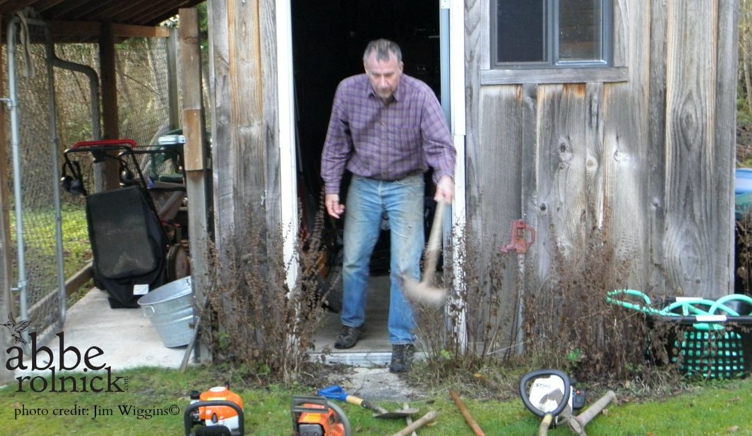 The Continuum of Life