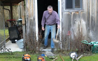 The Continuum of Life