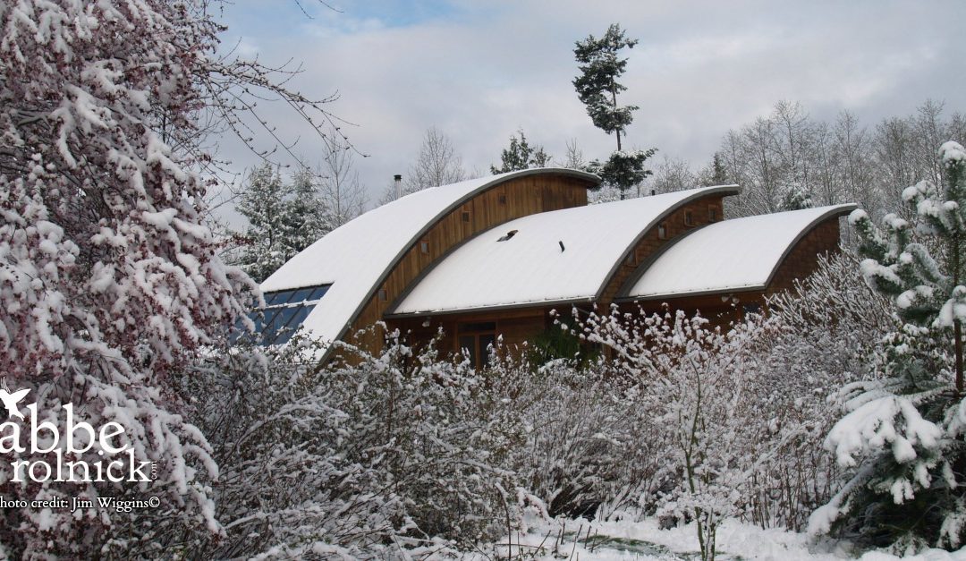 Contemplation on a Wintery Day