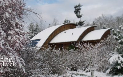 Contemplation on a Wintery Day