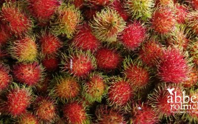 Statistics- Distinctions