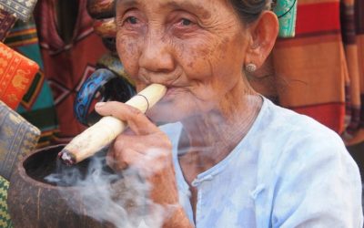 Two Words or Less Biology