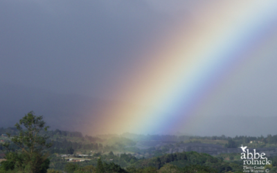 Diagnosis: Optimist Who Sees What Is