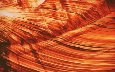 FOCUS FUZZY THOUGHTS