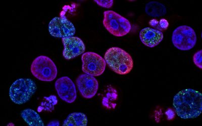 Science– What does it mean to advance forward and stay in place?