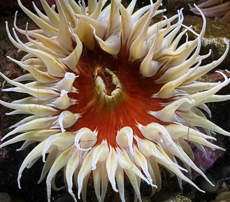 When Time Stood Still