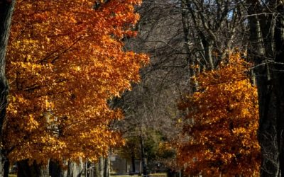 Tween being in Between