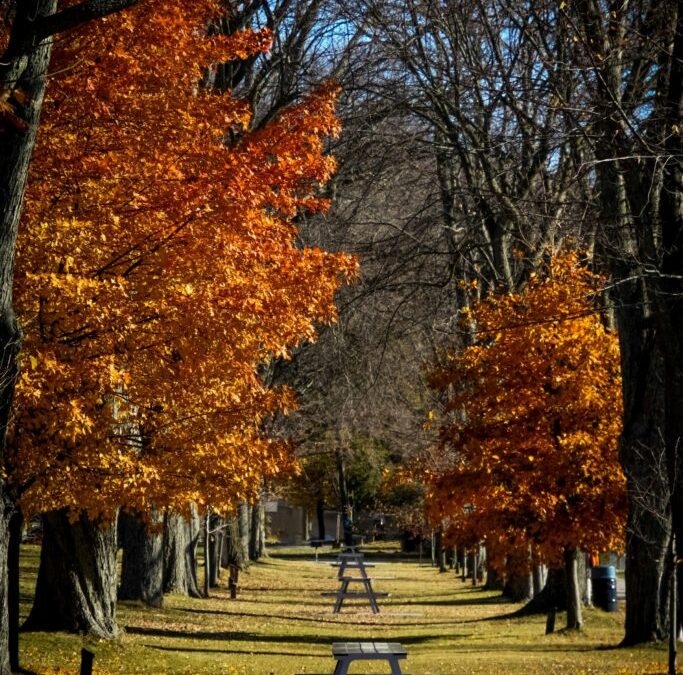 Tween being in Between