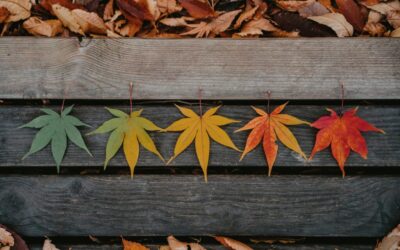 New Seasons Seasoning