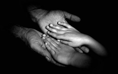 Palms–they give warmth