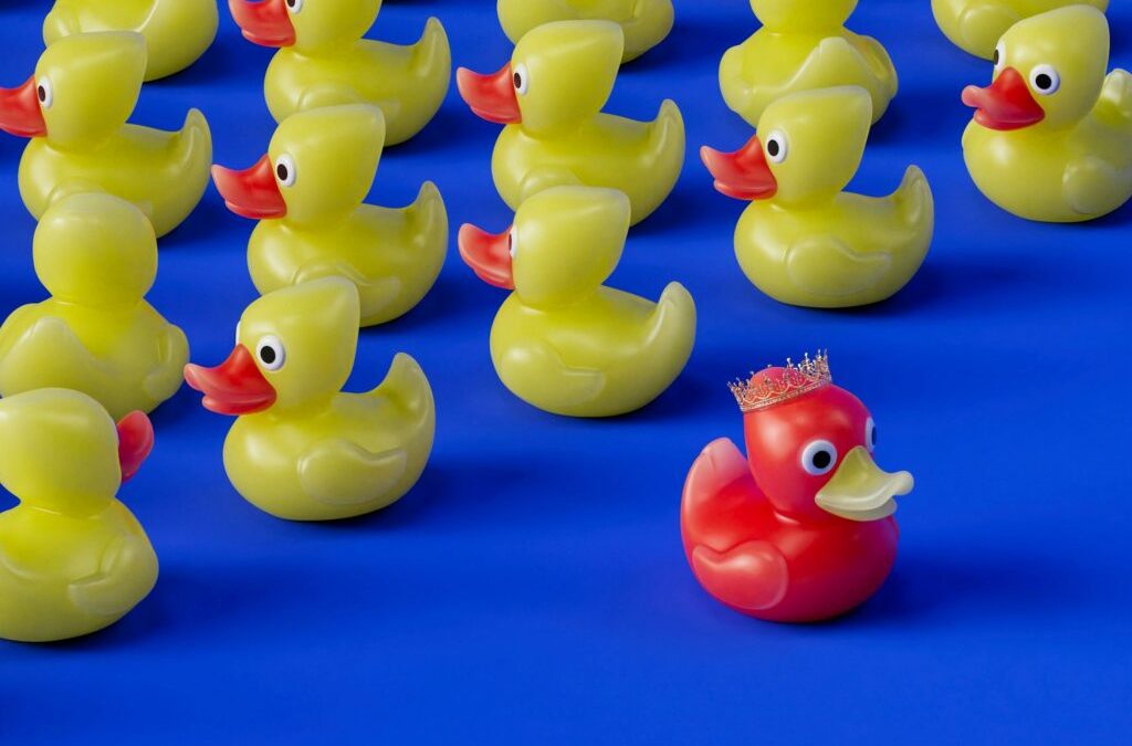 Jolly Maps for travelers