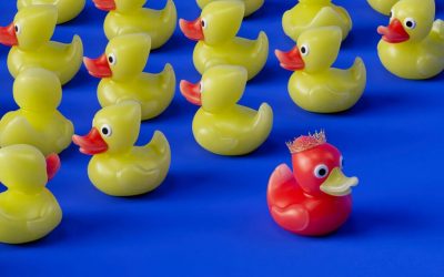 Jolly Maps for travelers