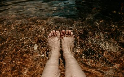 Planting Roots– Wiggling Toes