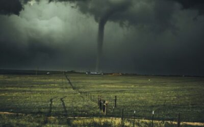 Caught in a Storm